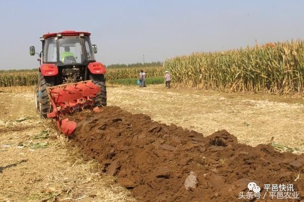 半干旱区玉米秸秆深翻还田水肥一体化高产高效栽培技术