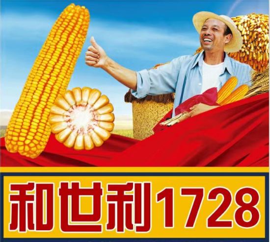 玉米和世利1728
