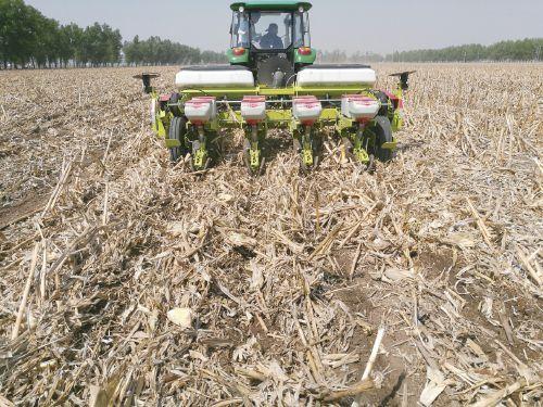 玉米秸秆覆盖保护性耕作技术