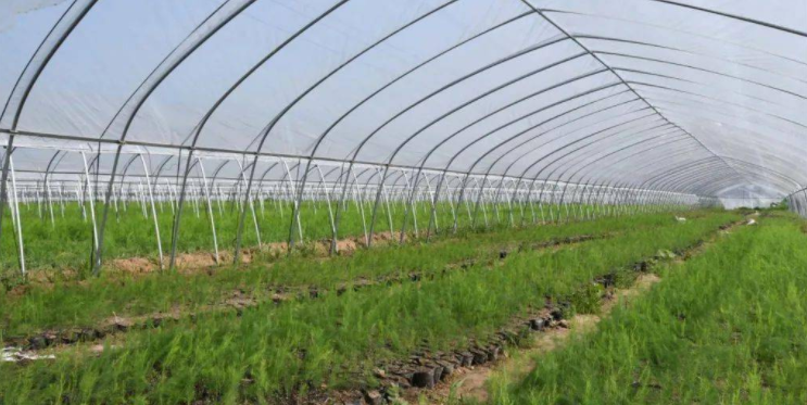 吉林省乾溢农业发展专业合作社联合社