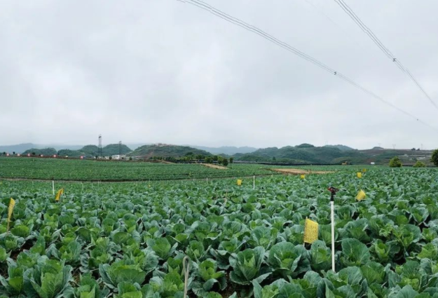 宣汉县臻源生态种植专业合作社