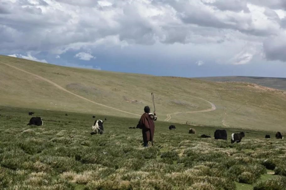 西藏自治区班戈县巴拉家庭农场