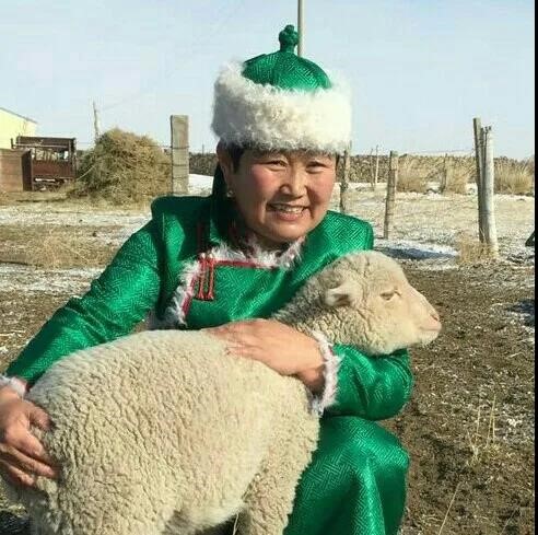 内蒙古自治区锡林郭勒盟镶黄旗托亚家庭牧场