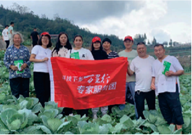 高山蔬菜优质高效技术团队