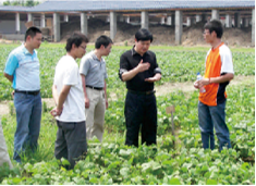 耕地保育与精准高效施肥技术服务团队
