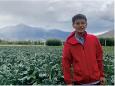 藏区高原蔬菜技术团队