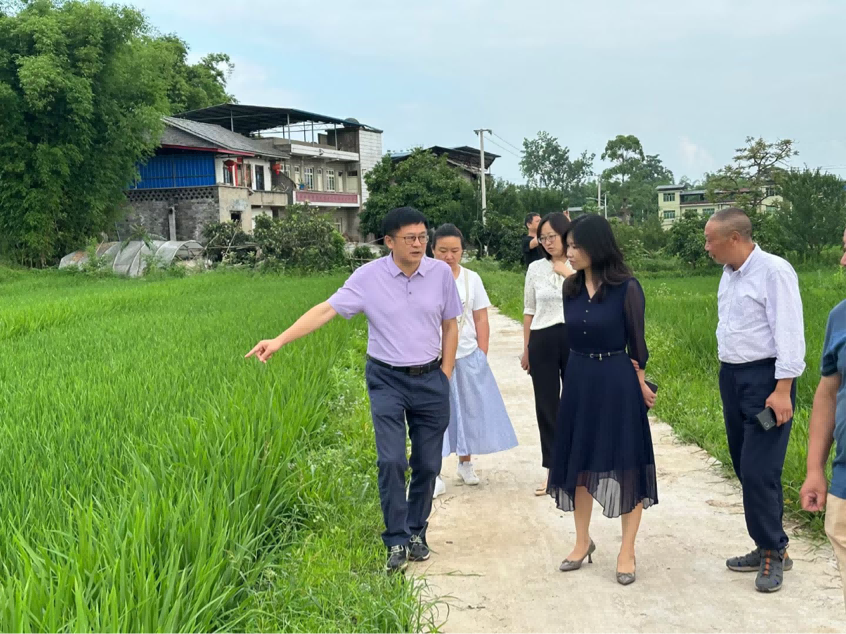 芒种丨揭榜挂帅 ：以新质生产力引领广安“两杂”制种基地跑出加速度