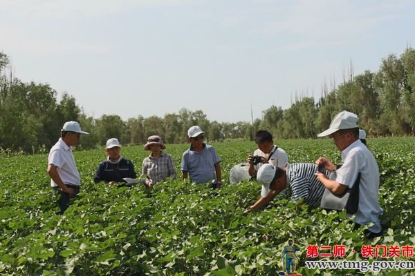 新疆生产建设兵团第二师铁门关市现代农业产业园