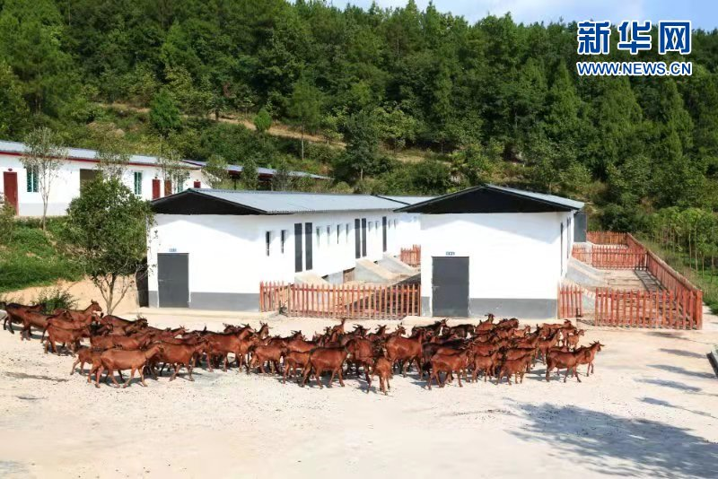 四川省南江县现代农业产业园