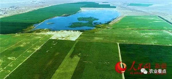 新疆维吾尔自治区福海县现代农业产业园